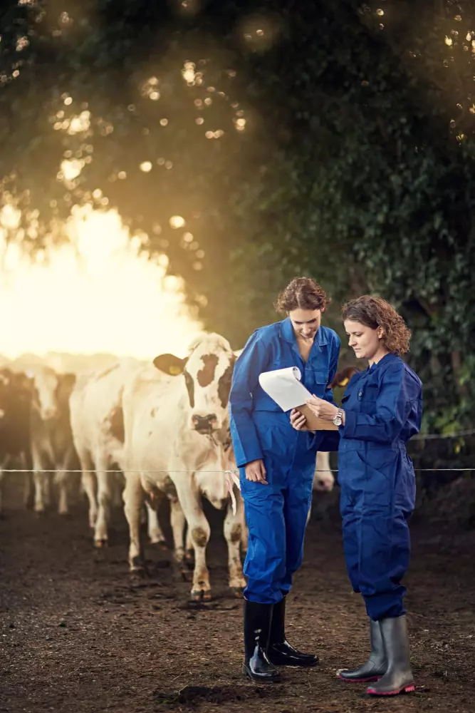 gestion agricola